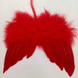 12x10 red