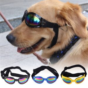 oly-a08acf738596c64587519657e4fe1a3a Wholesale Pet dog dog glasses sunglasses dog sunglasses foldable dustproof dog sunglasses sunglasses dog accessories