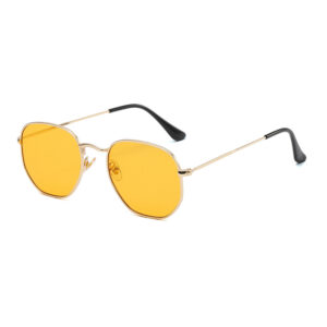 Gold frame orange slices C22