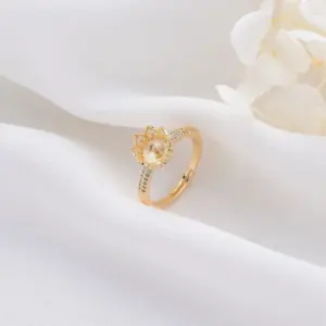 H-5763 / Adjustable Opening