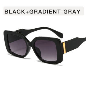 Metal hinge / Bright black double gray