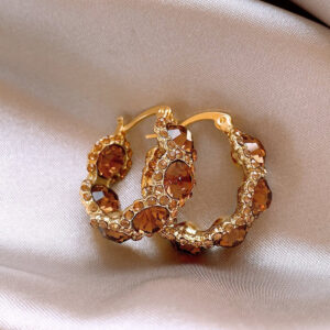 oly-a986c5795479608988dd9e5dad84d6b2 Wholesale brown Crystal Ring Ear Buckle Female Style Light Luxury Earrings 2024 New Internet Celebrity Explosions High-end Ear Accessories for Women
