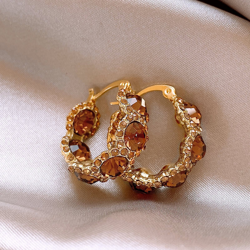 Wholesale brown Crystal Ring Ear Buckle Female Style Light Luxury Earrings 2024 New Internet Celebrity Explosions High-end Ear Accessories for Women