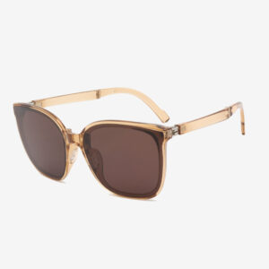 PC (ordinary lens) / Cinnamon Brown (Fourth Generation)