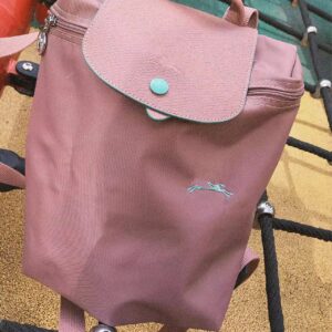 Anniversary ancient pink backpack