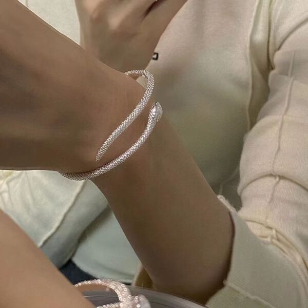 Wholesale Silver Open Snake Bracelet Ins Women's Accessible Luxury Fashion Trendy Hip-Hop Funny Scary Exotic Snake Bracelet