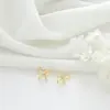 Wholesale Watermelon Tassel Stud Earrings For Women With 925 Sterling Silver Posts And Copper Body Inlaid With Zircon