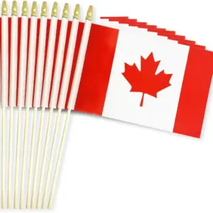 Canada Hand-Waving Flag 14x21cm Single Pack