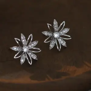 NS934-46 / Zircon