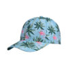 oly-bb7cc81180fc46d1a084e806a07f2c73 Wholesale Printed Cactus Baseball Hat Men and Women Korean Fashion Joker Turtle Cap