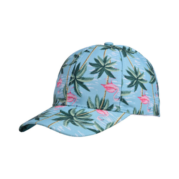 oly-bb7cc81180fc46d1a084e806a07f2c73 Wholesale Printed Cactus Baseball Hat Men and Women Korean Fashion Joker Turtle Cap