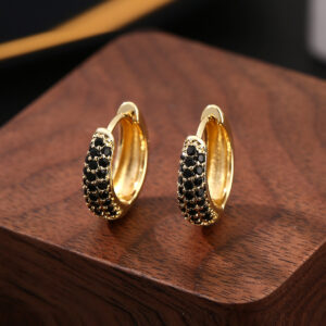 Wholesale Amazon cross-border jewelry luxury temperament copper inlaid zirconium geometric oval ear buckle trend hip hop earrings a generation of hair