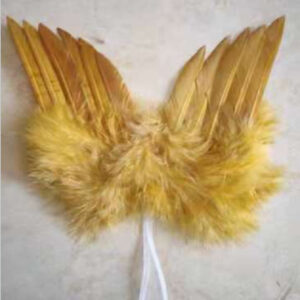 16x14gold