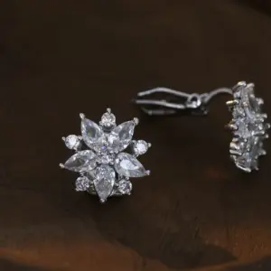 NS934-24 / Zircon