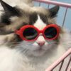 oly-be36e6c978e6bdc292e0a8440d25166e Wholesale Pet cat dog glasses Teddy than bear method bucket windproof sunglasses Beach beach photo sunglasses