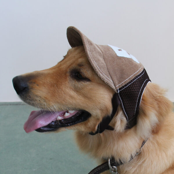 Wholesale Cute Pet Cap Golden Hair Koji Fa Dou Teddy Small Medium and Large Dog Dog Baseball Cap with Exposed Ears