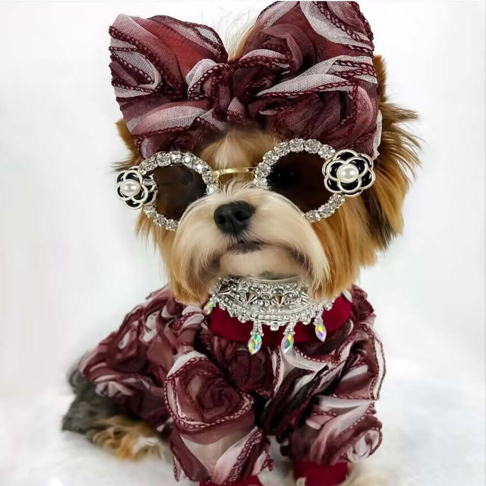 Wholesale Pet Glasses Cat and Dog Glasses Teddy Bichon French Dou Windproof Sunglasses Beach Photo Sunglasses