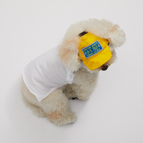 oly-c39d14cf23454983363fec18f22c2f35 Wholesale Pet Hat Sports Sunscreen Dog Hat Travel Sunshade Breathable Pet Baseball Hat Letter Dog Hat