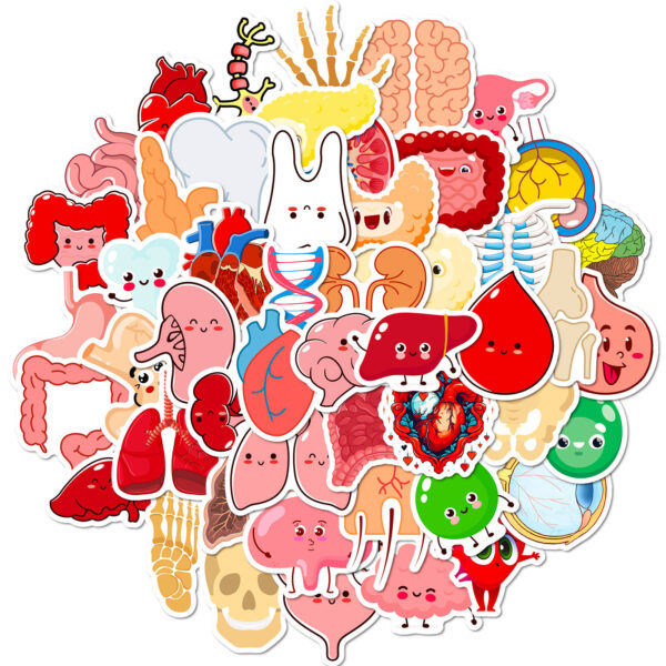 oly-c57e2959d91f0e0673d44c1f7f3b8dc5 Wholesale 50 Cute Human Organ Stickers to Learn Cartoon Human Organ Children's Early Education Stickers Creative
