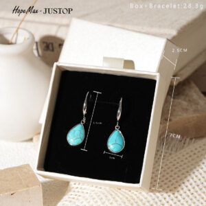 Steel turquoise drop earrings [boxed]