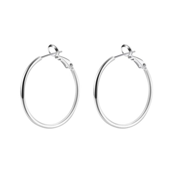 oly-d4563b0ff6f6dfa3c4e998b8cd0099f7 Wholesale big ring earrings women tide circle earrings simple cold style temperament net red earrings