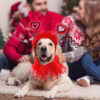 Wholesale Dog Valentine's Day Costume Heart-Shaped Dog Headband Dog Pouchy Dress Costume Red Holiday Valentine's Day Party Accessories
