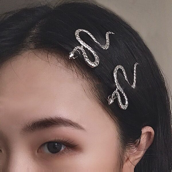oly-d7b9b57993a4d6a79f05dfdf8c774ae8 Wholesale style retro hairpin female ins creative silver snake-shaped hairpin dark all-match cool style side clip fashion