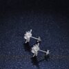 oly-da52cb32d28f114efd592d9480d8a14f Wholesale S925 Sterling Silver Platinum-Plated Snowflake Six-Prong Simple Elegant Earrings with a High-End Design, a Gift for Girlfriend or Lover