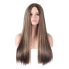 Wholesale wig ladies brown gold gradient long straight hair rose net wig set a generation of hair