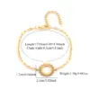 Wholesale Classic Sun Shape Stainless Steel Bracelet In Gold And Silver For Women Elegant Simple Style With Lobster Clasp Daily Use