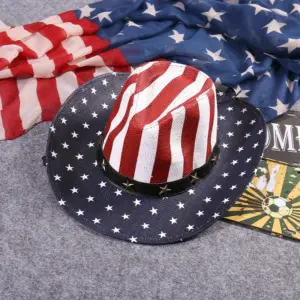 Vertical Stripe on Hat Top / Medium (56-58cm)