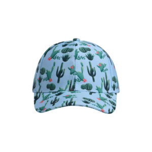 Blue Bottom Cactus / Average size -56-60cm