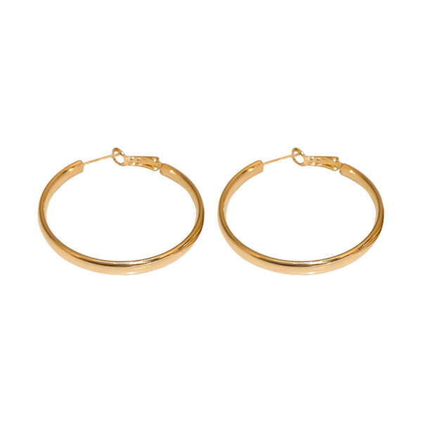 oly-e2b7d5c84c97d5a047cf0fe5aa929d3f Wholesale French style metal circle earrings plain earrings trendy niche design unique temperament earrings for women