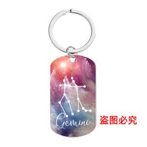 (Gemini) CW0301 keychain Silver