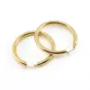 Wholesale Retro Geometric Titanium Steel Plating Hoop Earrings 1 Pair