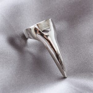Ancient silver 8887