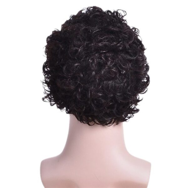 Wholesale Women's Wig Small Roll Fluffy Headgear Halloween Party Playing Wig