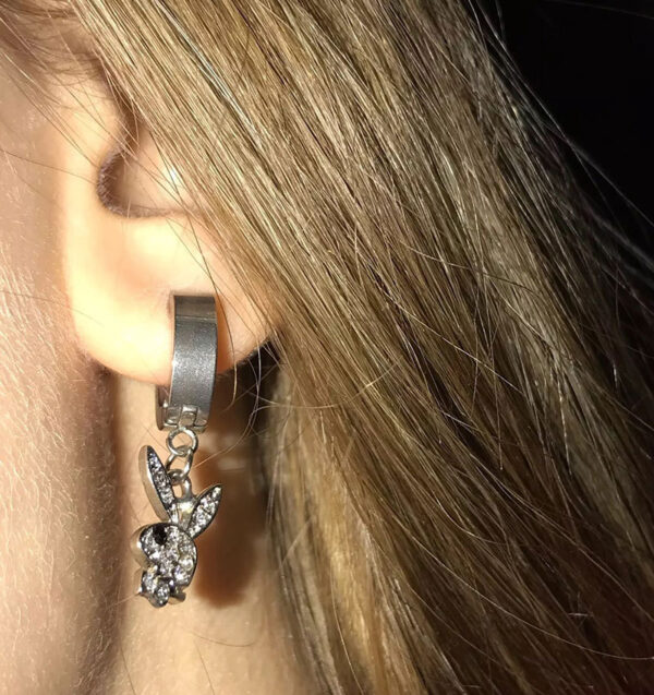 Wholesale ins Stainless Steel Rabbit Punk Style Earrings Necklace Street Cool Rabbit Earrings