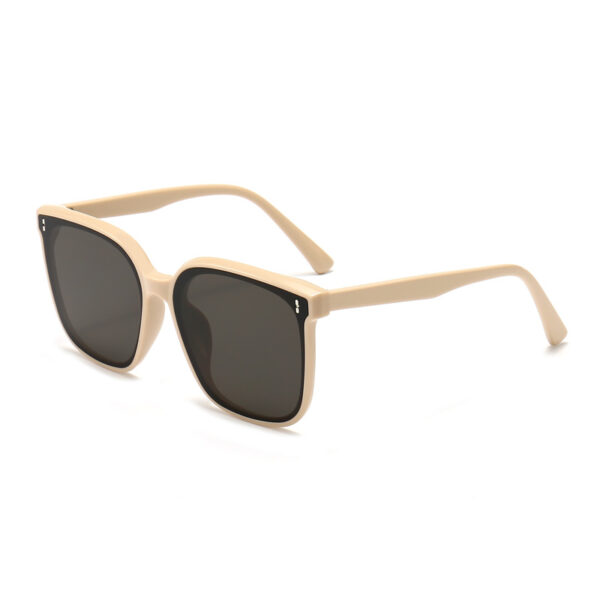 Wholesale High-Definition Nylon Lens Sunglasses, Fashionable and Trendyy Sunglasses, Classy Acetate Temples, Tr90 Frames, Drop Shipping