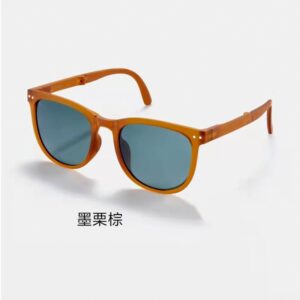 PC (Polarized Lens) / Ink chestnut brown (generation)