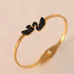 Black / Full body stainless steel + electroplated 18k gold