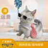 Wholesale  Pet Glasses Dog Glasses Cat Glasses Free Shipping Wholesale Plastic Large Frame Repair Glasses Sunglasses