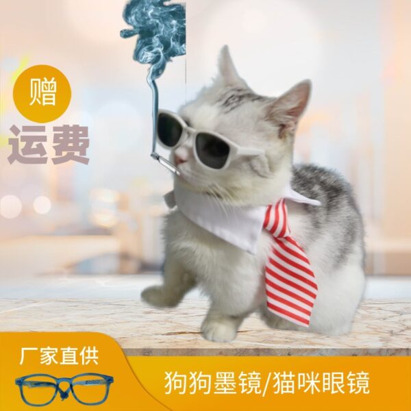 Wholesale  Pet Glasses Dog Glasses Cat Glasses Free Shipping Wholesale Plastic Large Frame Repair Glasses Sunglasses