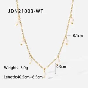JDN21003-WT