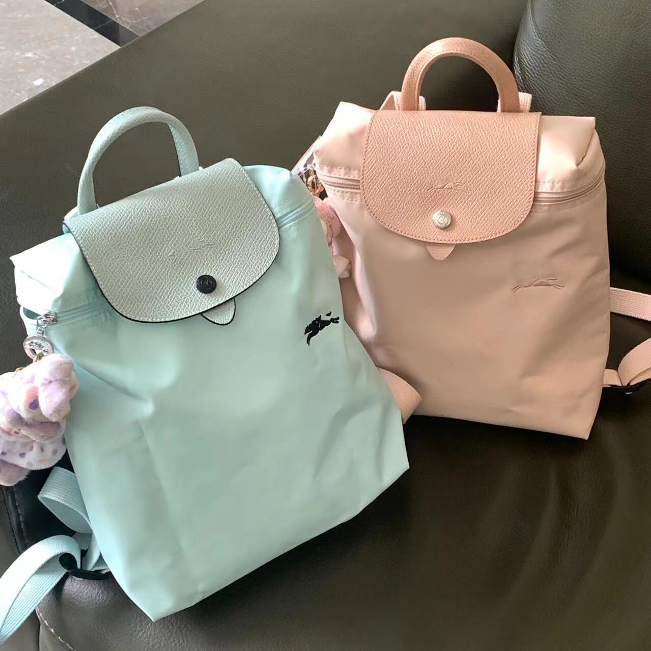 Wholesale French Longxiang Bag 70th Anniversary Backpack Nylon Embroidered Backpack Waterproof Foldableing Casual Lightweight Women's Bag School Bag