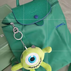 Anniversary fairy green backpack