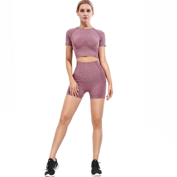 oly-f7d4f5b9d320680f8c5bbb57792a9731 Wholesale Popular Seamless Yoga Clothing Set, Short-Sleeved Jacquard Sports Fitness Clothing, Quick-Drying, Comfortable for Women