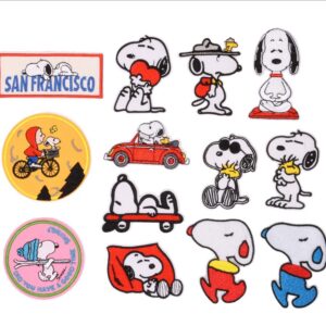 A set of 13