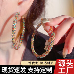 Wholesale European and American New Design, Exaggerated Earrings, Accessible Luxury, High-End Large Circle Earrings, Personalized Fashion Earrings