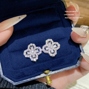 E0079 silver needle
